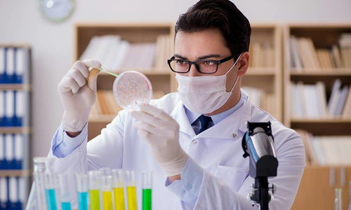 中國生物合成人乳寡糖技術(shù)領(lǐng)跑世界，恒魯生物獲華耀資本戰(zhàn)略投資助力技術(shù)推廣