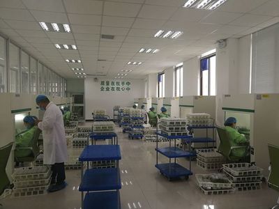 夏莊、賀店工作隊(duì)赴蘭考考察構(gòu)樹產(chǎn)業(yè)扶貧項(xiàng)目 技術(shù)推廣助力鄉(xiāng)村振興